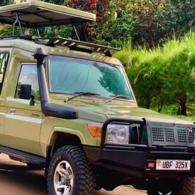LX79 Safari